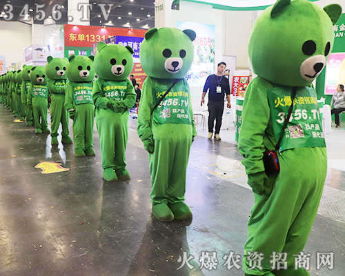 ̏(qing)݁ucs2019ʡֲ(hu)