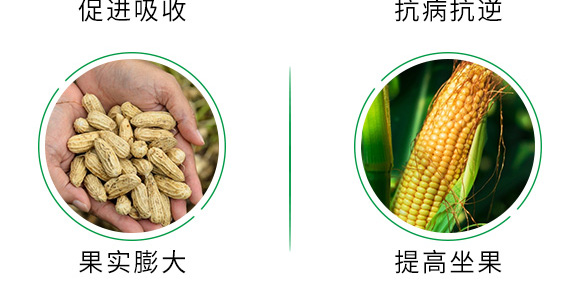 500g有機緩釋氮肥-瑞倍達