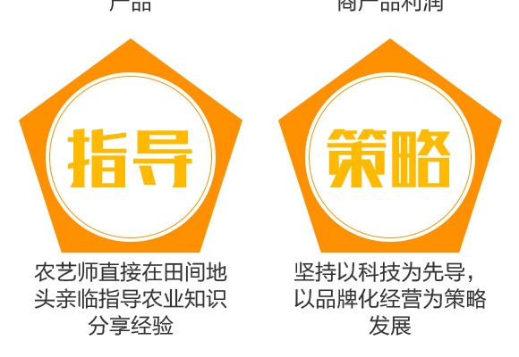 花生高產(chǎn)一遍成-花大哥-三禾肥業(yè)