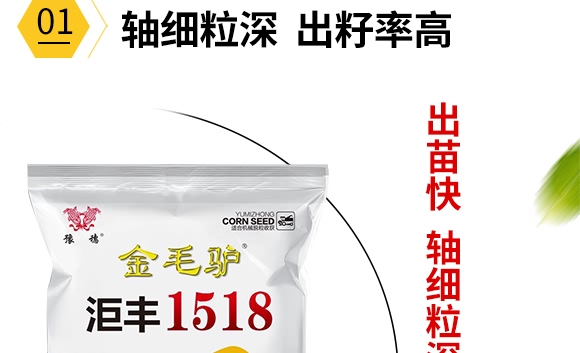 金毛驢匯豐1518-玉米種子-豫穗農(nóng)業(yè)