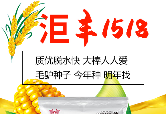 鏈爣棰?2.jpg