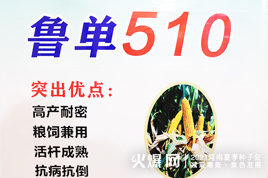۽չ(hu)Ј(chng)2021ļNӕ(hu)AڴWR