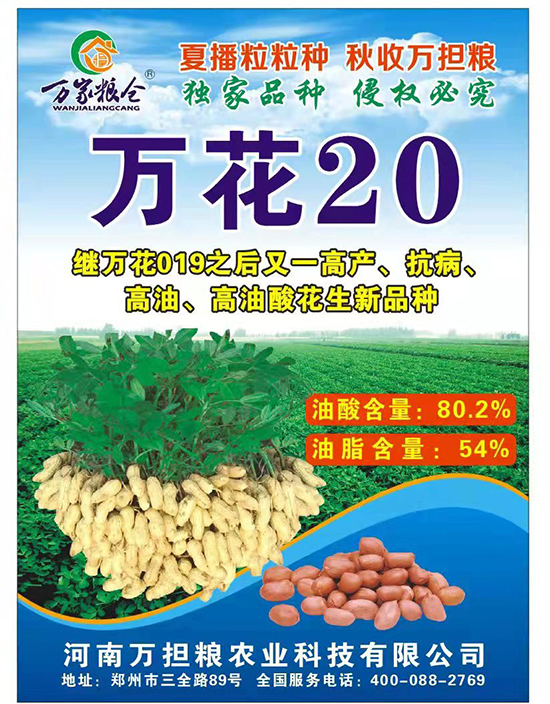 萬(wàn)花20-花生種子-萬(wàn)擔(dān)糧