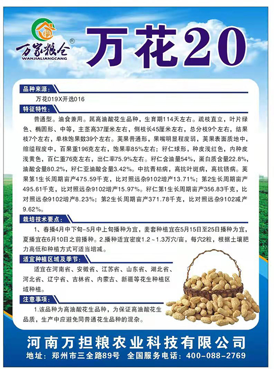 萬(wàn)花20-花生種子-萬(wàn)擔(dān)糧