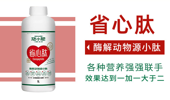 閰惰В鍔ㄧ墿婧愬皬鑲?鏂藉皬鑲03.jpg