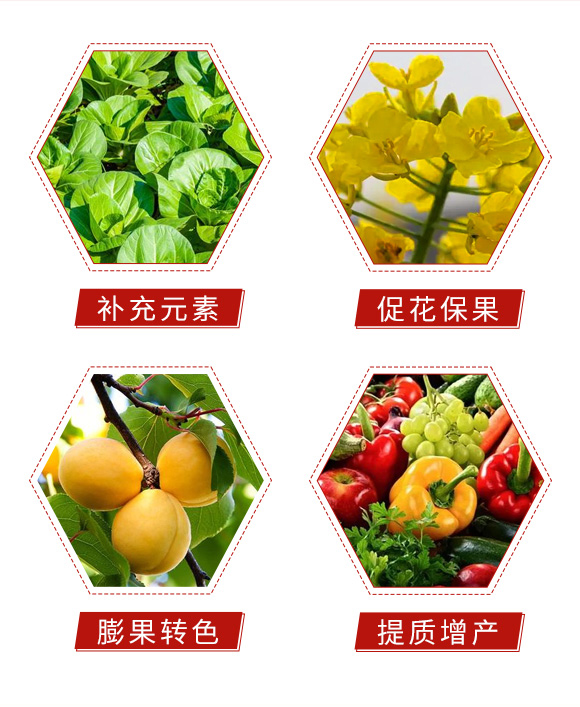 閰惰В鍔ㄧ墿婧愬皬鑲?鏂藉皬鑲05.jpg