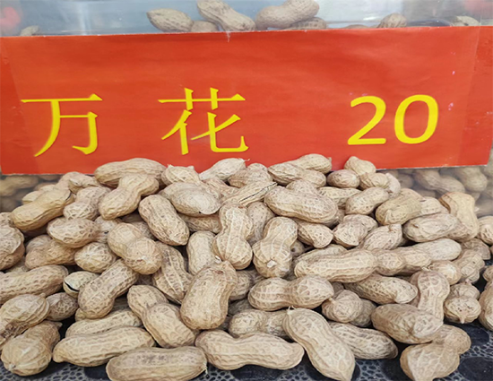 寰俊鍥劇墖_20241224140557.png