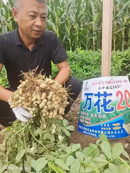 寰俊鍥劇墖_20241224140448.jpg