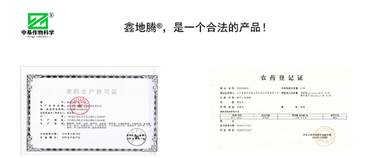 鏁堟灉灞曠ず_01.png