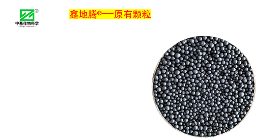 鏁堟灉灞曠ず_02.png