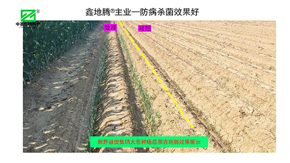 鏁堟灉灞曠ず_05.png