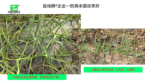 鏁堟灉灞曠ず_06.png