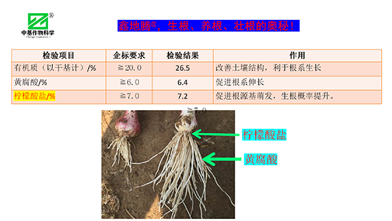 鏁堟灉灞曠ず_07.png
