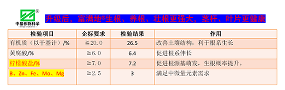 鏁堟灉灞曠ず_08.png