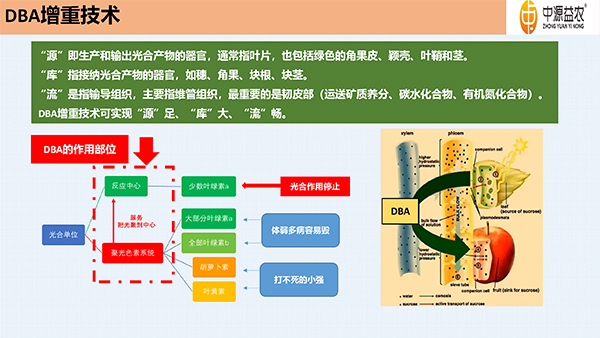 DBA澧為噸鍓俖11.jpg