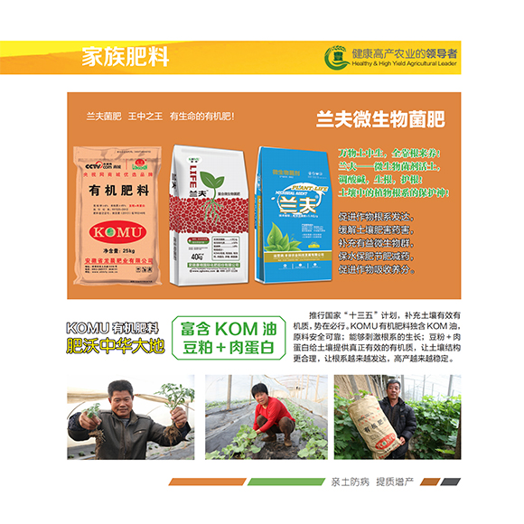 涓扮敯鐢誨唽20250419a_10.jpg