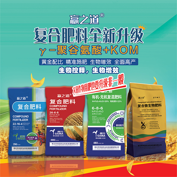 涓扮敯鐢誨唽20250419a_05.jpg