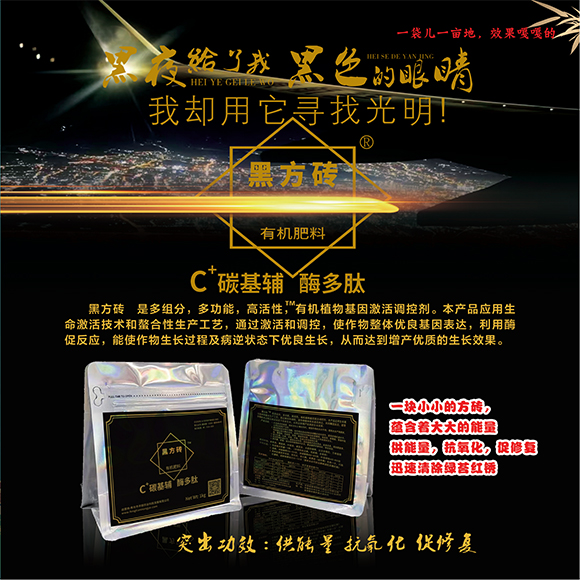 涓扮敯鐢誨唽20250419a_04.jpg