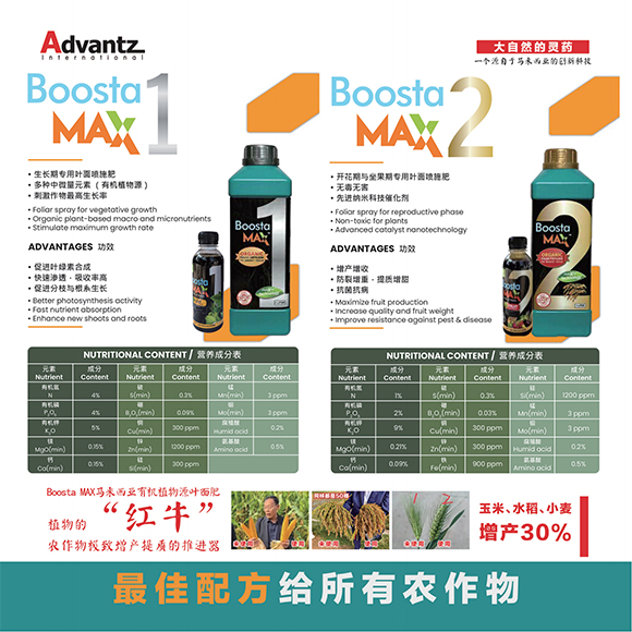 涓扮敯鐢誨唽20250419a_02.jpg