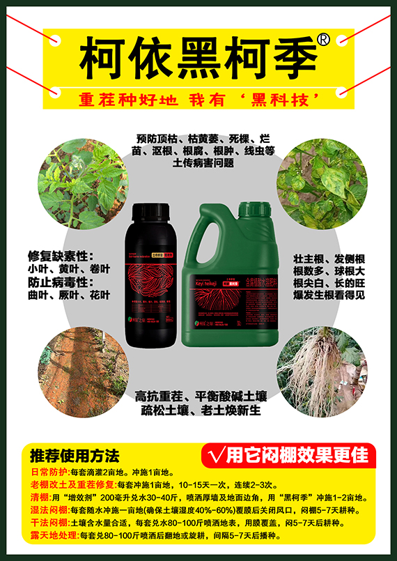 寰俊鍥劇墖_20250614153120.jpg