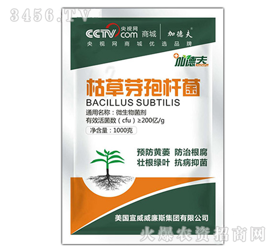 枯草芽孢桿菌-沃森特