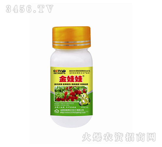 枸杞50g-金娃娃-長豐