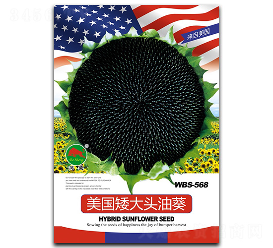美國(guó)矮大頭油葵-葵花種子-搏盛種業(yè)