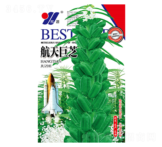 航天巨芝-芝麻種子-邢源農業(yè)