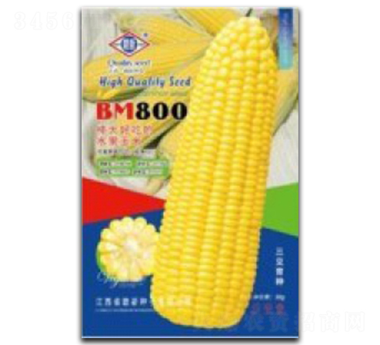 BM800-水果玉米種子-臺(tái)州農(nóng)資