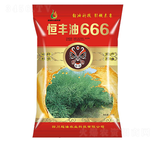 油菜種子-恒豐油666-超油農業(yè)