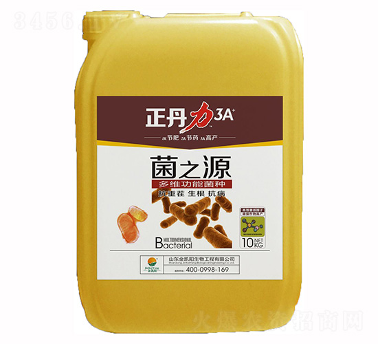 菌之源-正丹力-金凱陽(yáng)