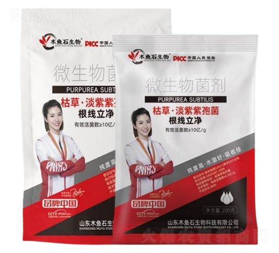 枯草·淡紫紫孢菌-木魚石