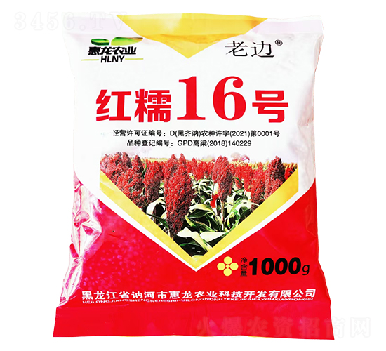 精品高粱種子-紅糯16號(hào)-惠龍農(nóng)業(yè)
