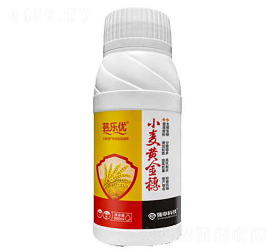 小麥黃金穗-蕓樂(lè)優(yōu)-強(qiáng)申科技
