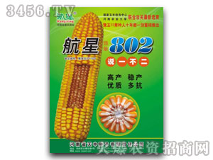 天中航星802（玉米種子）