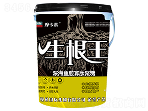 生根王-摩卡素-強(qiáng)芯國(guó)際
