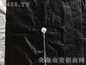 防草地布-正航
