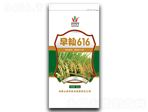 10kg早秈616-水稻種子-神農種業(yè)