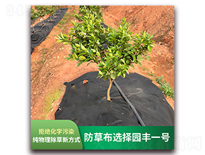 防草選擇園豐一號