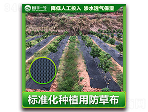 標(biāo)準(zhǔn)化種植用園豐一號(hào)防草布