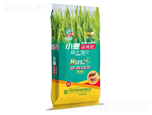小麥返青肥-中農(nóng)嘉吉