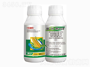 30%煙·硝·莠去津-玉施樂(lè)-金爾農(nóng)化