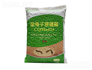 金龜子綠僵菌CQMa421顆粒劑-聚立信生物