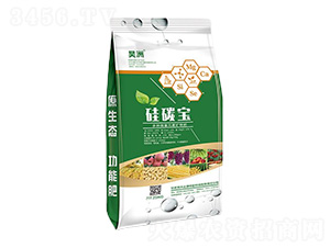 25kg多種微量元素礦物肥-硅碳寶-昊洲土壤修復(fù)