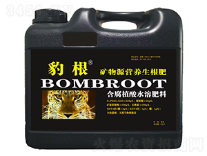 礦物源營養(yǎng)生根肥-豹根-中特煤
