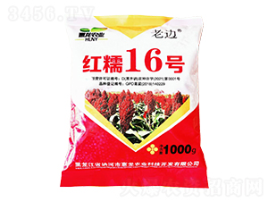 精品高粱種子-紅糯16號(hào)-惠龍農(nóng)業(yè)