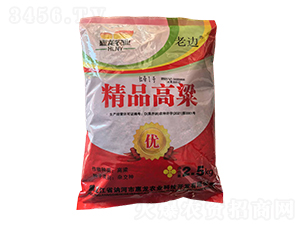 精品高粱種子-紅帚1號(hào)-惠龍農(nóng)業(yè)