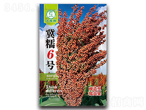 冀糯6號(hào)高粱種子-大禹種業(yè)