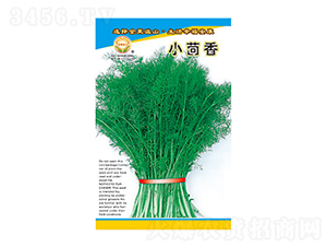 小茴香-太樂種業(yè)