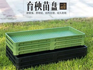 育苗秧盤-輝遠科技